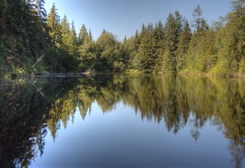 Fototapeta na wymiar Reflective Lake