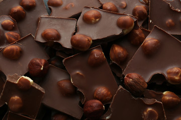 Broken chocolate pieces with hazelnut, close up
