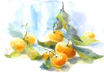 Watercolor Tangerines Still Life Citrus Fruit Illustration Hand Drawn - 138527200