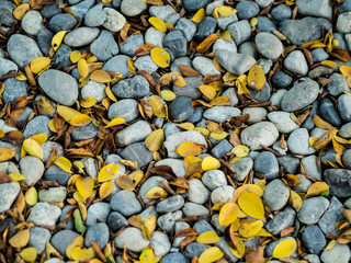 pebble stone background