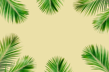 Fototapeta na wymiar Tropical exotic palm branches frame isolated on yelow background. Flat lay, top view, mockup.