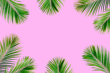 Fototapeta na wymiar Tropical exotic palm branches frame isolated on pink background. Flat lay, top view, mockup.