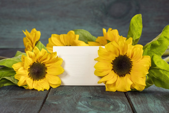 Yellow sunflowers with blank card for copyspace