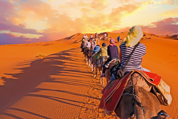 Camel caravan going through the sand dunes in the Sahara Desert,
