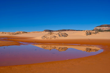 Fototapeta na wymiar Perfect reflection of sand dunes in calm water. Coral Pink Sand Dunes State Park. Kanab. Cedar City. Utah. Unated States.