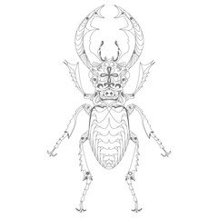 Beetle. Hand drawn sketch.