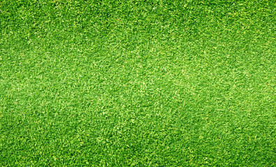 Obraz premium grass background Golf Courses green lawn