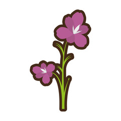 cartoon amaryllis flower decoration beautiful vector illustration eps 10