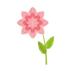drawing petunia flower nature spring vector illustration eps 10