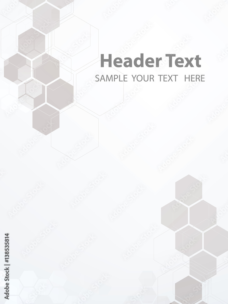 Wall mural vector abstract geometric white background. template brochure design. gray hexagon shape