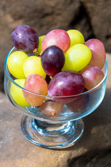 葡萄　いろいろ