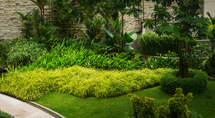 Beautiful landscape at Central Park Mall with green bushes and trees, soft and green grass photo taken in Jakarta Indonesia