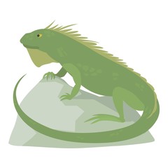 Varan icon, cartoon style