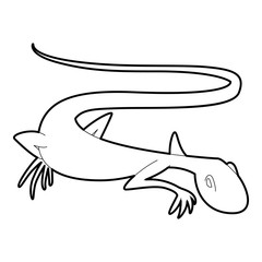 Brisk lizard icon, outline style
