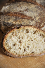 Bread