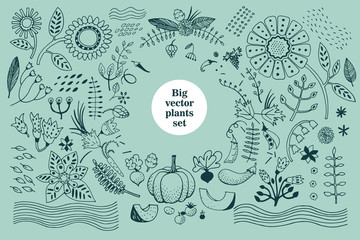 Naklejka premium Vector botany collection. Retro illustration set