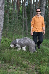 Naklejka na ściany i meble Spaziergang mit Hund im Wald