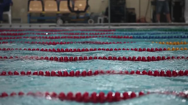 Backstroke race tracking shot view of the low angle 
St. Petersburg, Russia, December 16, 2016 International swimming competition "Vladimir Salnikov Cup" 
