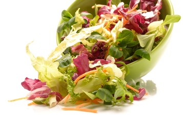  Salad mix with rucola, frisee, radicchio.carrot and lamb's lettuce