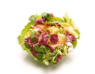  Salad mix with rucola, frisee, radicchio.carrot and lamb's lettuce