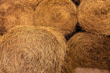 Group of dry rice straw in round shape stacking together.