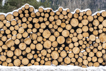 Round Wooden Stacked Piles covered with snow