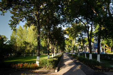 Samara