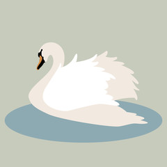 swan vector illustration style Flat