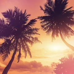 Papier Peint photo Lavable Palmier Silhouette de palmier au beau coucher de soleil tropical