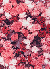 Abstract background of flowers. Faded color tone © Ruslan Gilmanshin