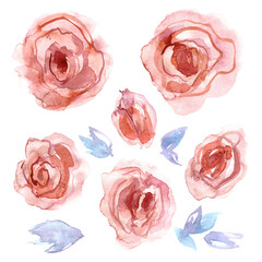 Cute watercolor roses. Invitation. Wedding card. Birthday card.