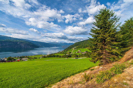 Norwegian summer landscape. Fjord Innvikfjorden and village Utvik in the background. Sogn og Fjordane county. Norway. 