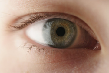 Obraz premium Closeup of teenage girl green eye looking straight, shallow focus