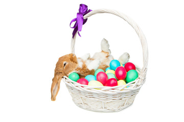 Beautiful domestic rabbit in basket with eggs