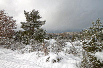 Fototapety na wymiar - Fototapeta24.pl