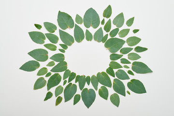 Circle for a copy space formed by green leaves