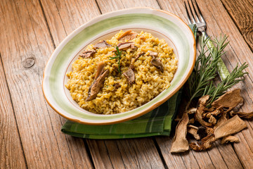 risotto with dried mushroom and saffron