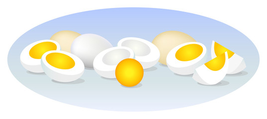 A set of images of eggs lying on the surface. Vector illustration