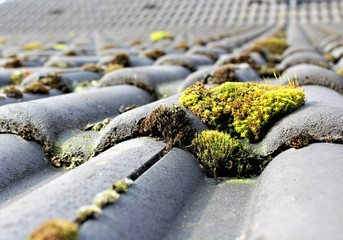 An image of roof with moss