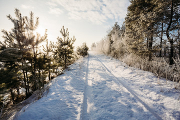 Fototapeta premium Landscape with a beautiful road in the snow