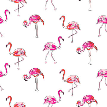 Hand drawn sketch pink flamingo seamless pattern vector. Exotic birds on white with outline strokes and hand painted coral brush strokes decoration.