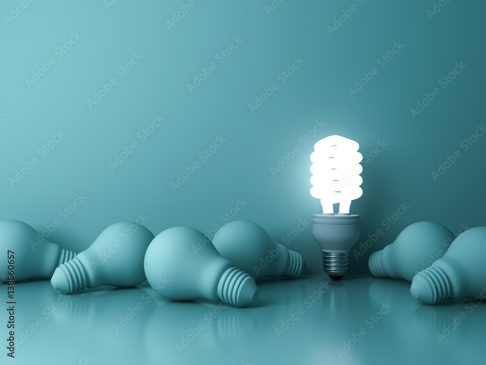 Poster energy saving light bulb , one glowing fluorescent lightbulb standing out from dead incandescent bul