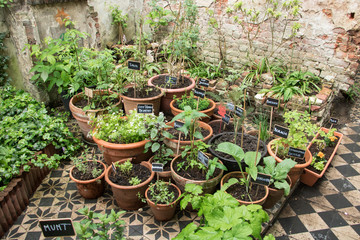 Urban Garden in Bruges