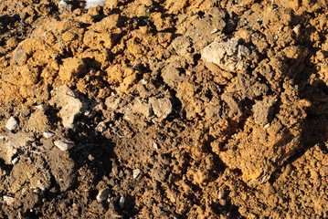 soil