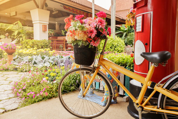 Fototapeta na wymiar Colorful flowers in the basket of a bicycle.