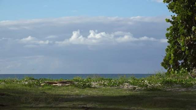 Shoreline of the Varadero beach. Matanzas, Cuba