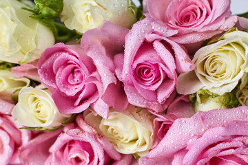 Roses on a background. mothers Day. Valentine's Day