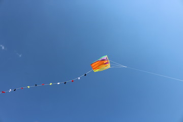 Fliegener Drache