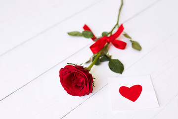  Roses on a white wooden background. Valentine day background