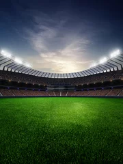 Foto op Plexiglas stadium in sunset. with people fans. 3d render illustration blue sky © Anna Stakhiv